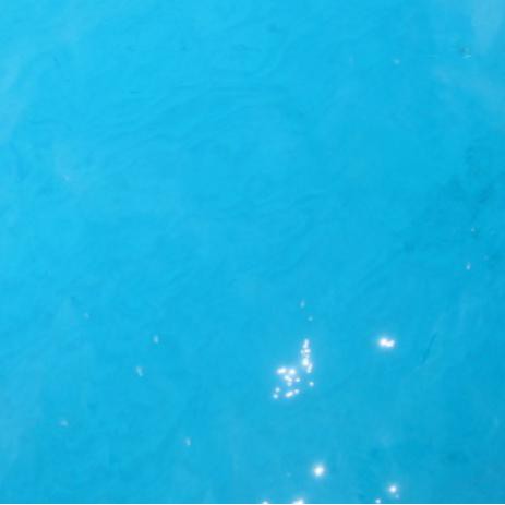 SALE Air laut aquarium Termurah