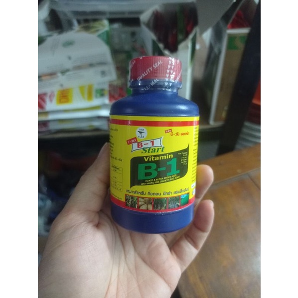 Vitamin B1 tanaman Thailand T-rex