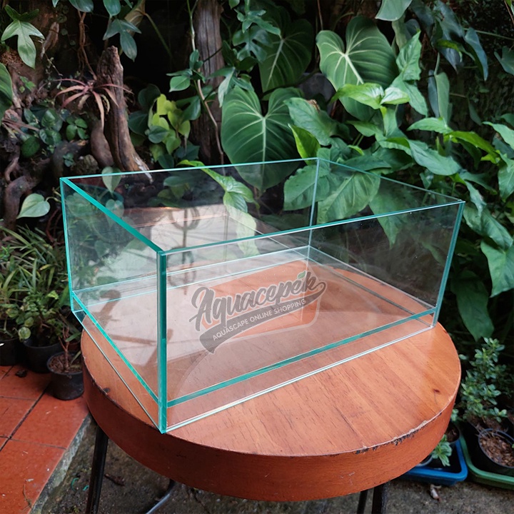 A100 SHALLOW GLASS TERRARIUM VIVARIUM PALUDARIUM TANK AQUARIUM