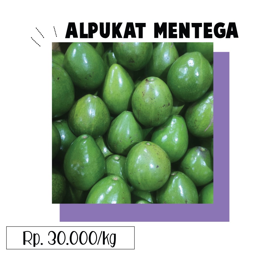 

Alpukat Mentega