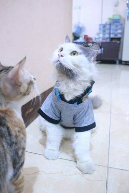 Kaos hoodie variasi kotak-kotak biru lucu untuk kucing dan anjing size S M L XL