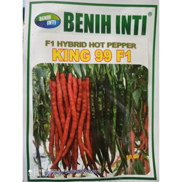 Benih Cabe keriting Hibrida KING 99 F1 10Gr Benih Inti