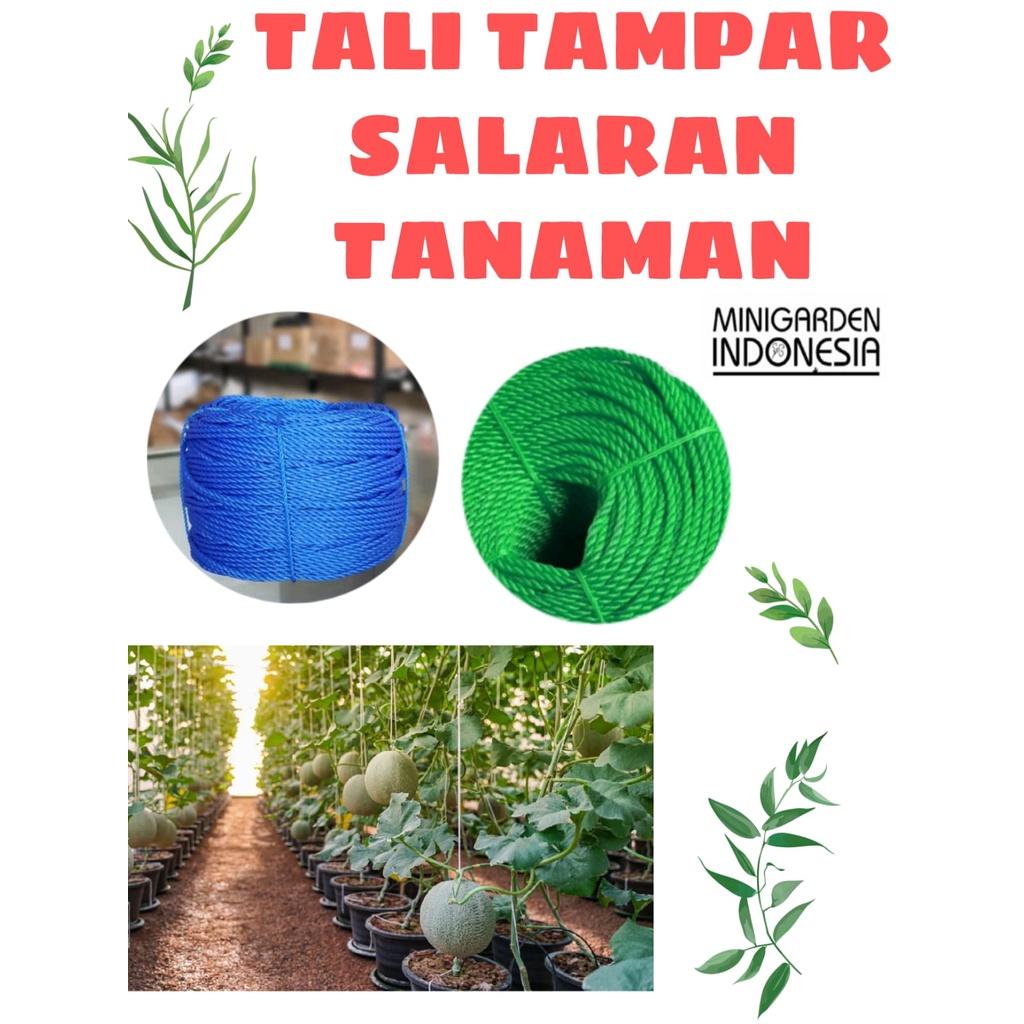 TALI TAMPAR NYLON ROLL 1.5MM 250 METER  TALI RAMBAT SALARAN TANAMAN HIAS