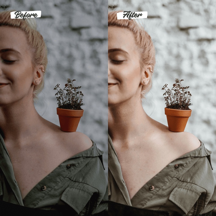 15 Preset Premium Lightroom Preset Rustic  IOS/Android and Dekstop