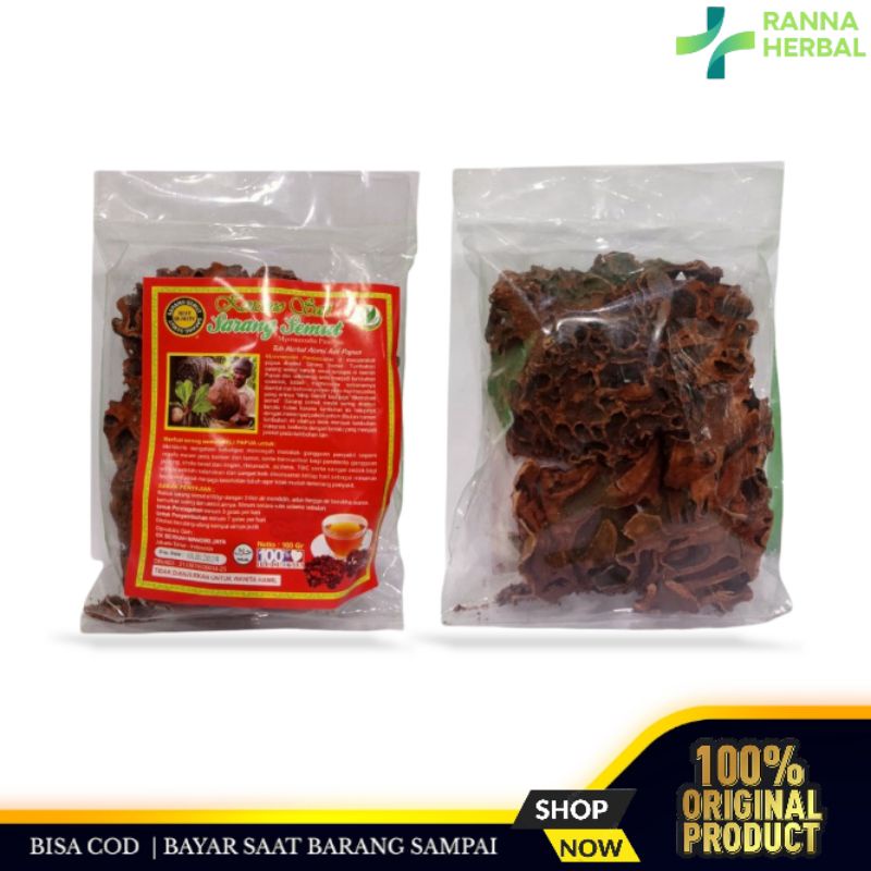 

SARANG SEMUT ASLI PAPUA CURAH 100g