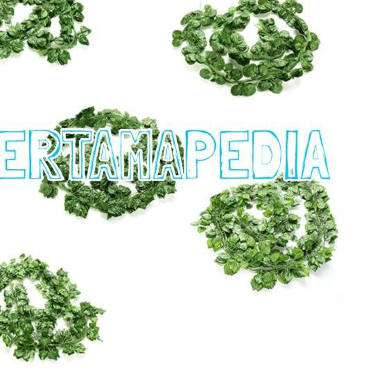 ♠ Lusinan Rambat Kecil/ Daun Rambat Plastik/ Daun Plastik / Rumput Dekor - SEMANGKA KECIL ➽