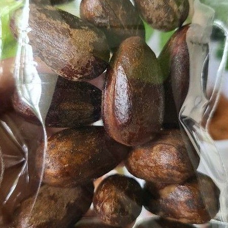 

*tokorosajbg88* Biji Pala Lonjong 1kg Kualitas Bagus - Utuh Masih Ada Kulit