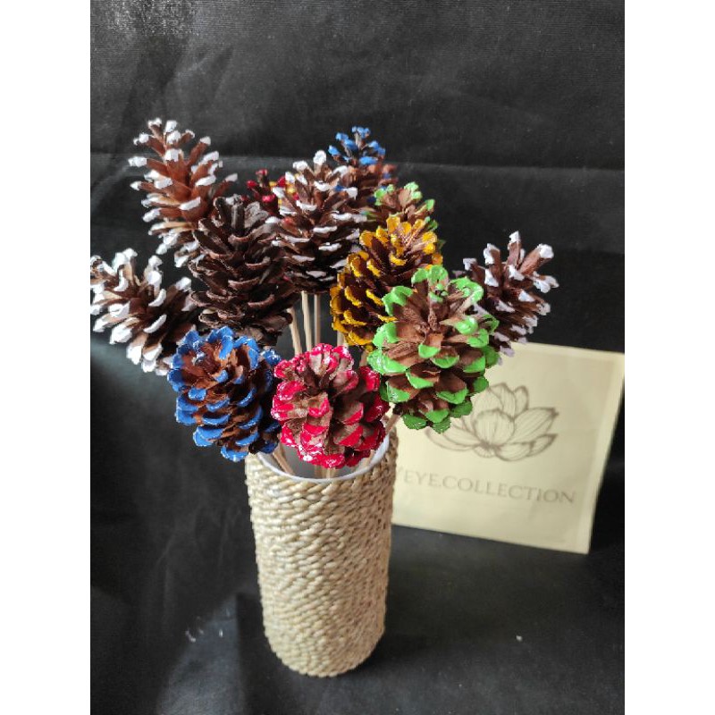 Pinus kering / buah pinus / pinus warna / bunga kering hiasan hantaran dekorasi rustic dried flowers