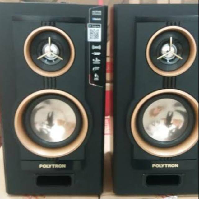 Audio polytron PAS22