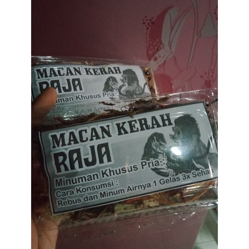 macan kerah raja