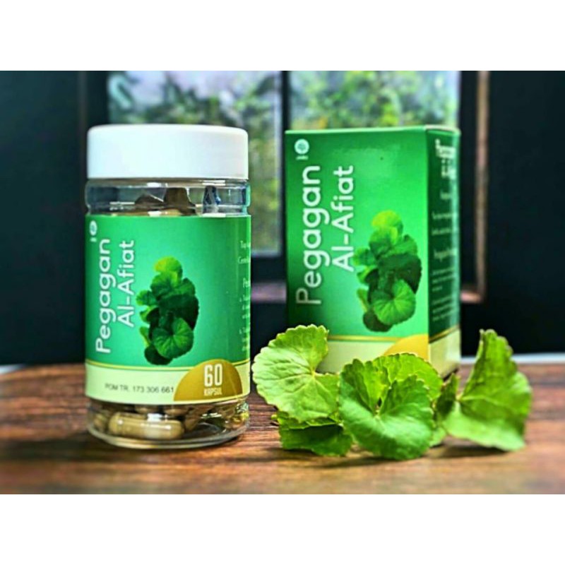 PEGAGAN | Herbal Pengencer Darah | Nutrisi Otak | Anti Depresan