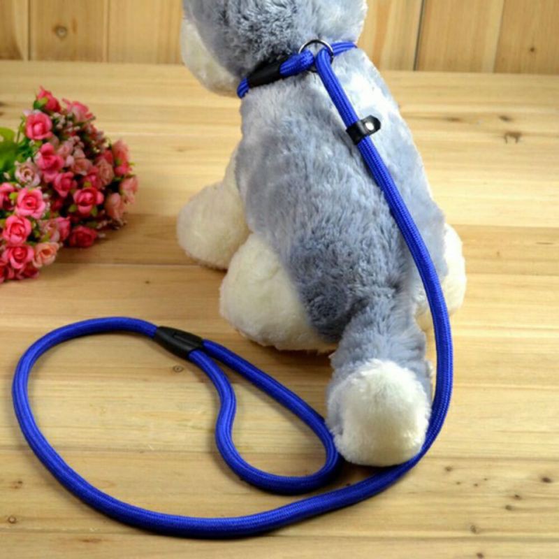 EXOTICGOODS CESAR MILLAN DOG LEASH TALI TUNTUN ANJING TALI ANJING HARNESS ANJING