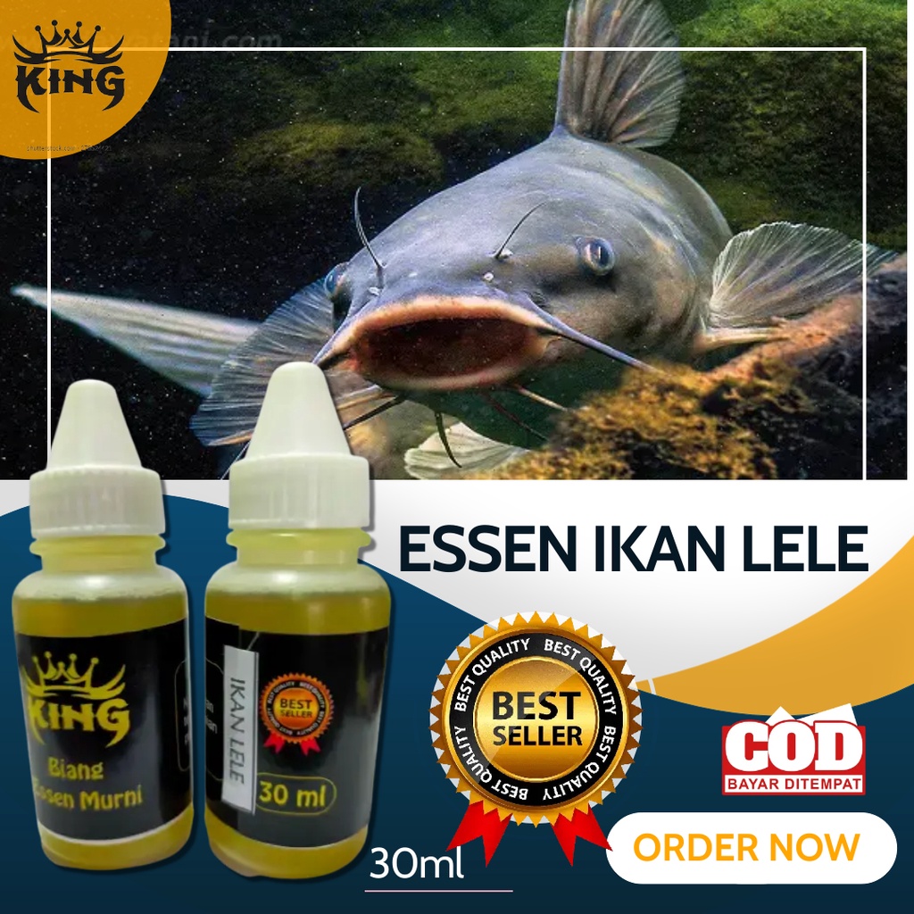 Essen Premium Ikan Lele Kilo Gebrus Harian dan Galatama Auto Strike 30ml-Esen KING