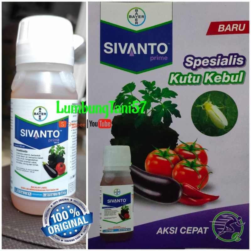 insektisida SIVANTO - obat spesialis kutu kebul