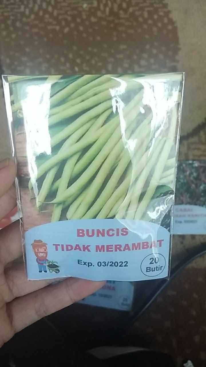 Benih Biji Bibit Buncis Tidak Merambat