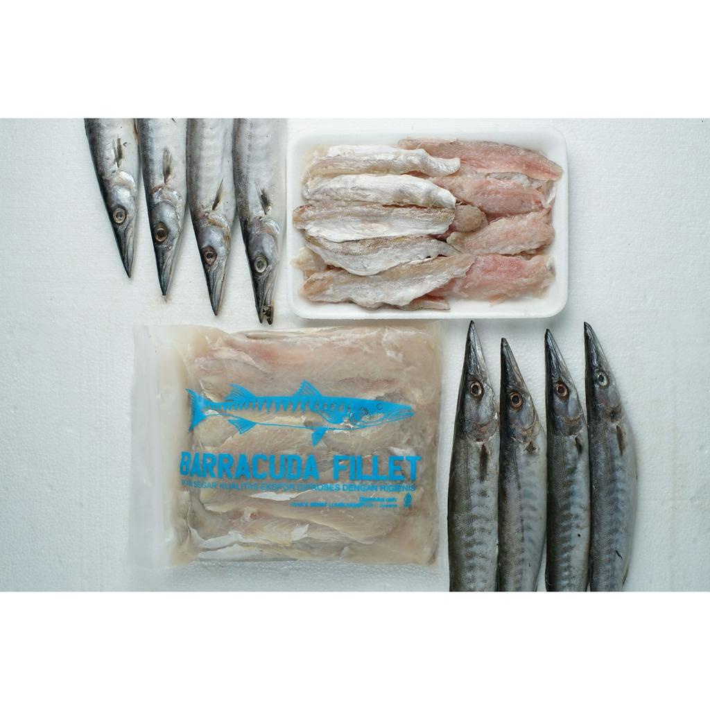 IKAN BARAKUDA FILLET 1KG IWAKE KACANG-KACANG ALU-ALU SLICE FISH