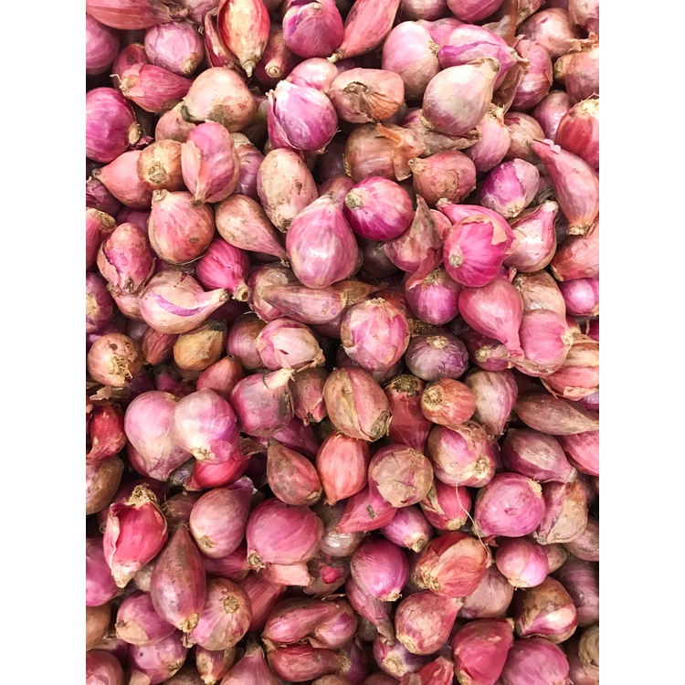 

Bawang Merah Brebes 500 gram Premium
