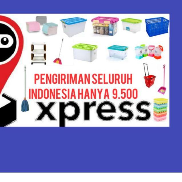 Container box ezy 45 liter kotak plastik biggy vindo