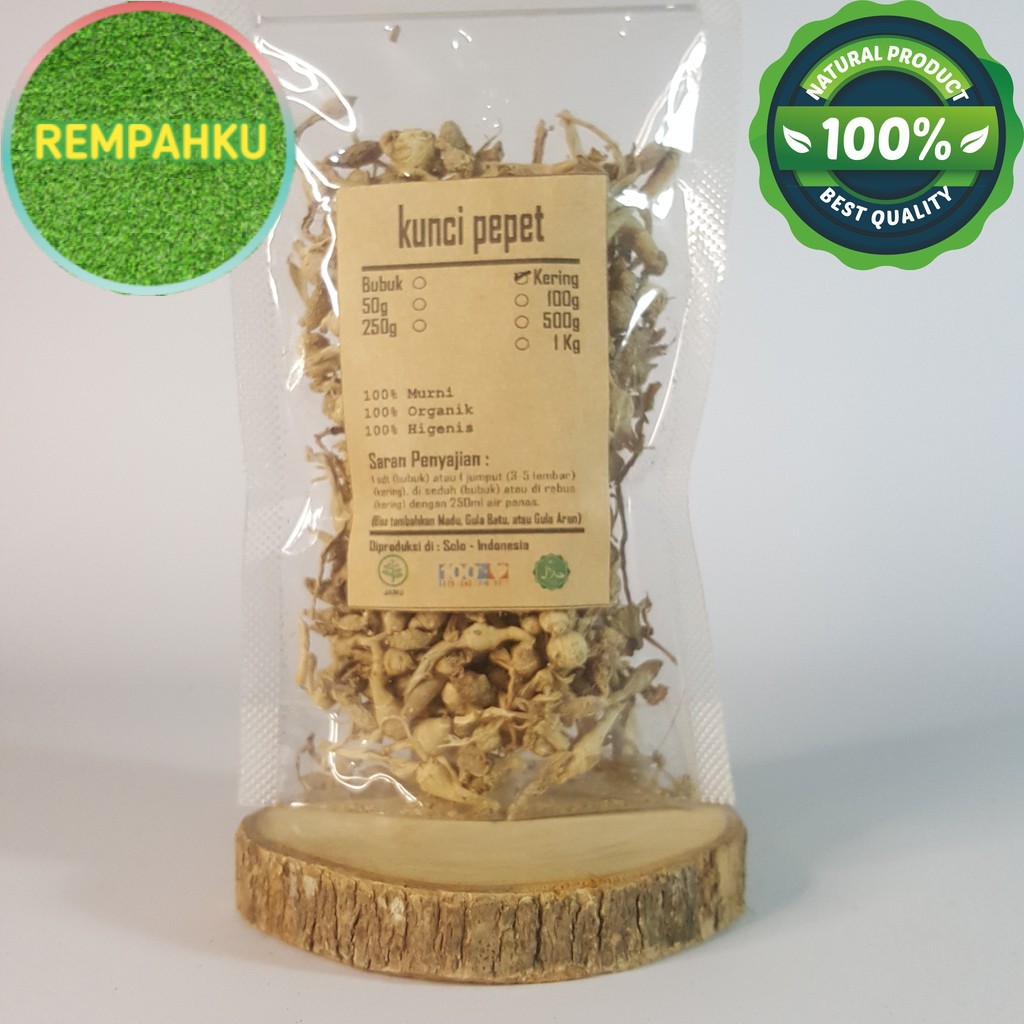 

KUNCI PEPET KERING 500 GRAM - Kaempferia Rotunda - MURNI - JSR -