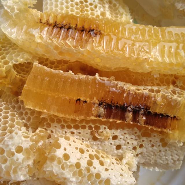 

Madu sarang