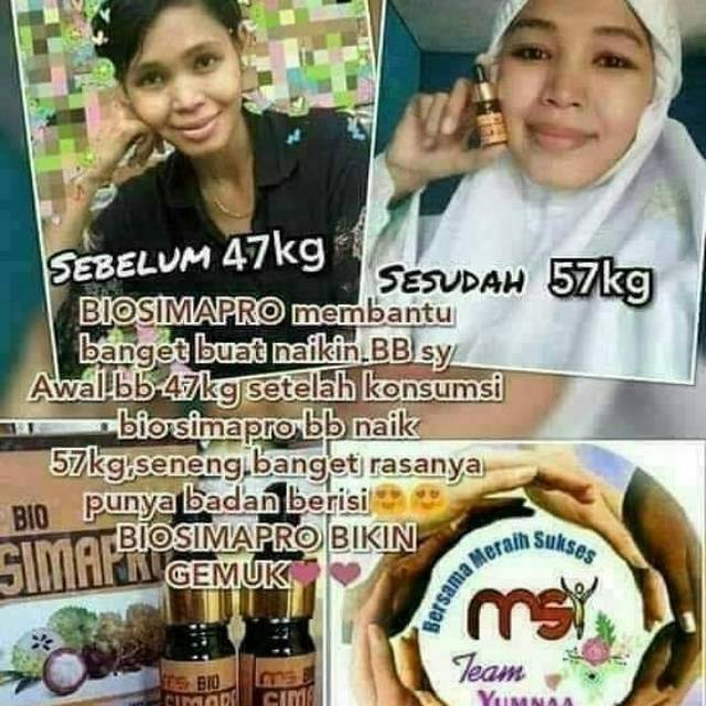 Simapro msi murah original