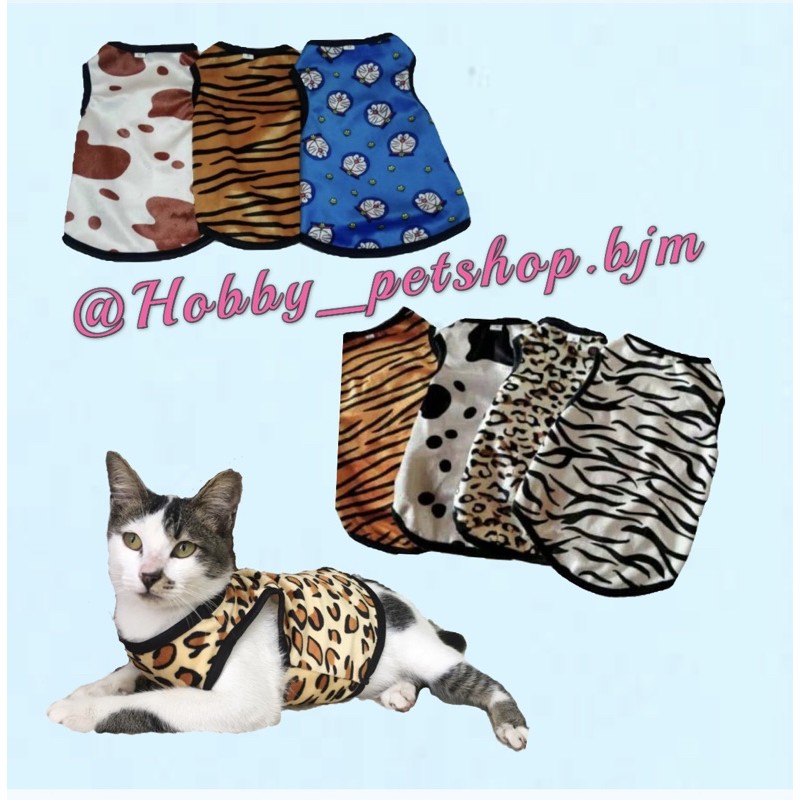 Baju kucing motif animal hewan pakaian anjing kitten puppy kelinci cat dog tshirt