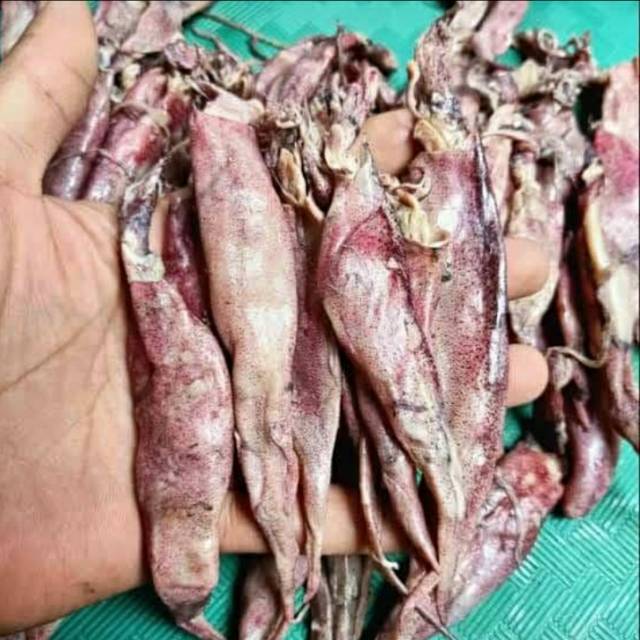 

Cumi asin kering