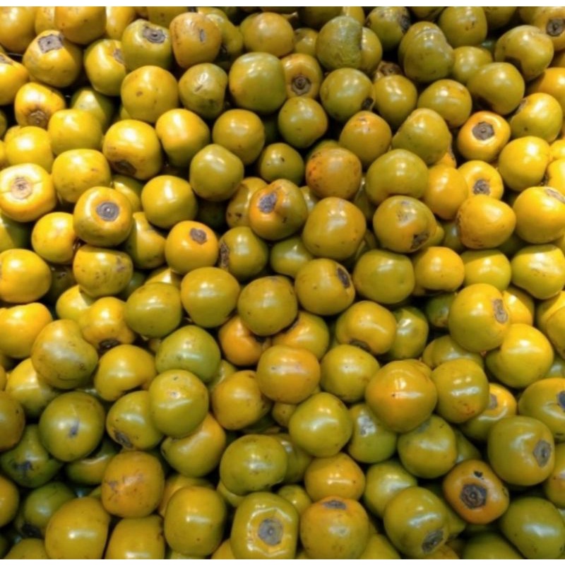 

Kesemek perssimon lokal fresh super 1 kg