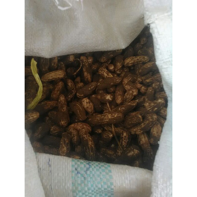 

Kacang Tanah Mentah Basah (jablay) 1kg