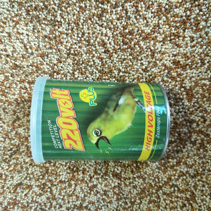 220 volt pleci/pakan burung pleci/makanan burung pleci
