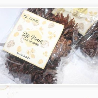 Biji pinus alami besar