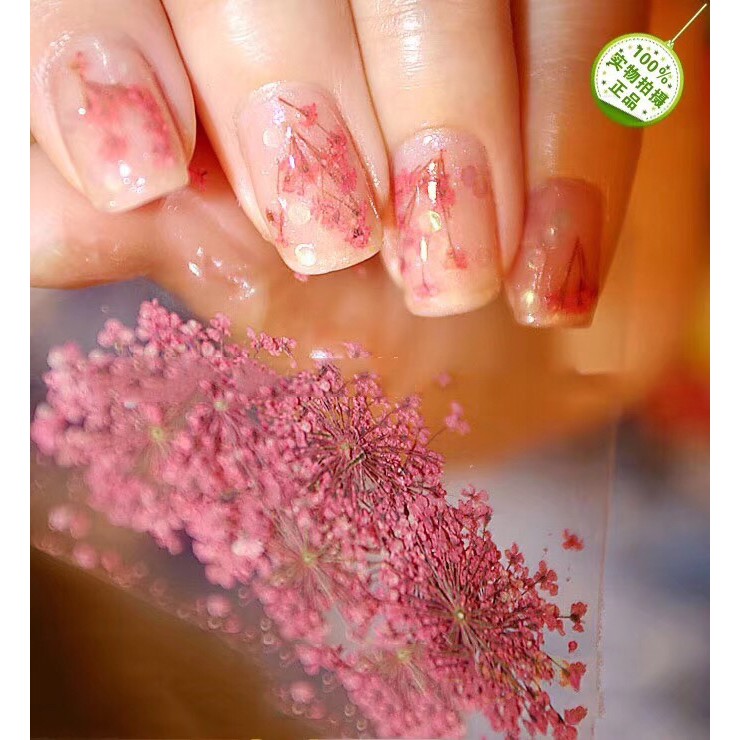 Bunga kering nailart nail art dry flower 12 warna Produk Good Quality