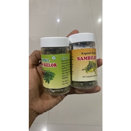 

sambiloto dan daun kelor