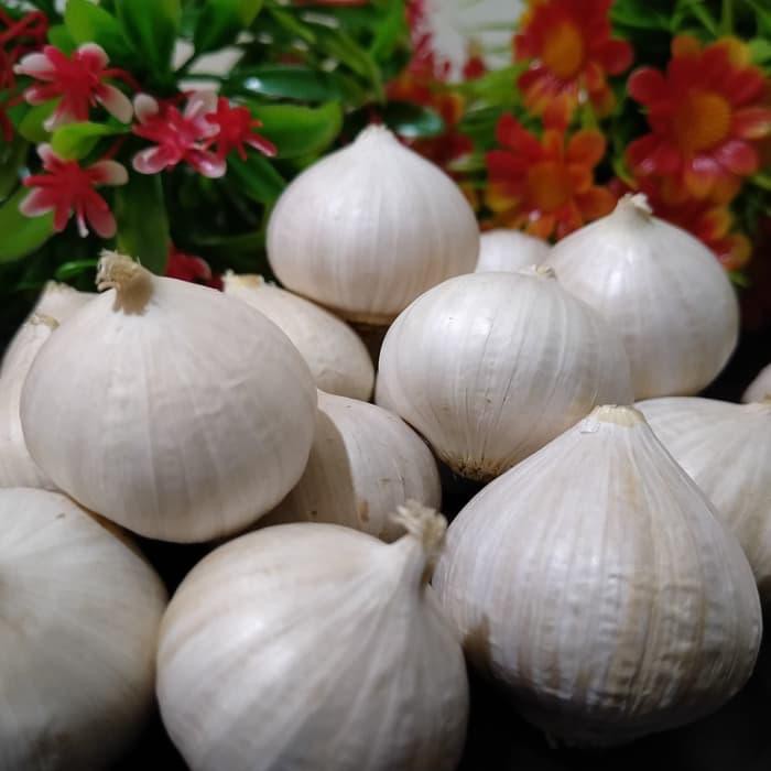 

BAWANG PUTIH TUNGGAL SUPER KUALITAS IMPORT 500GR