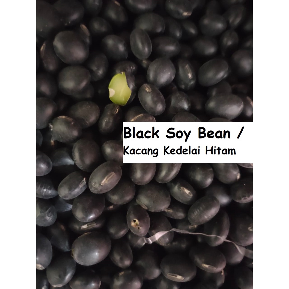 

500gr Kacang Kedelai Hitam - BLACK SOY BEAN By KN