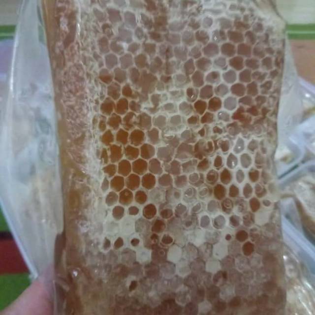

Madu sarang asli