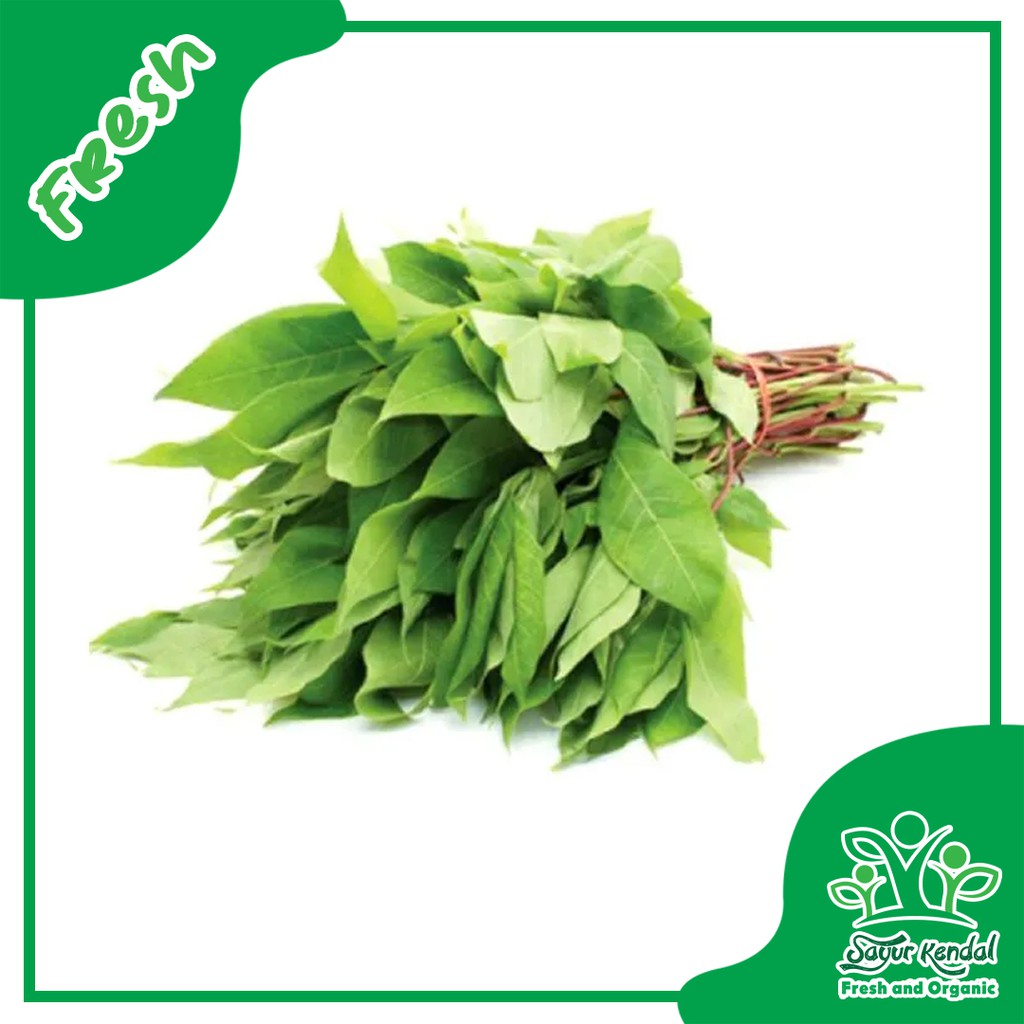 

Daun Singkong - Sayur Kendal