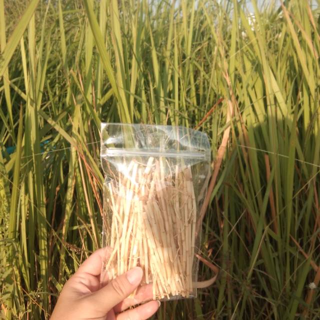 

AKAR ALANG ALANG SUPER BERSIH 50GRAM