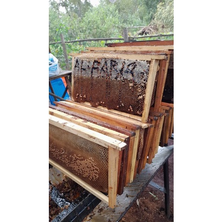 

madu murni alfariq123 100% asli murni pure organik hutan sumatra