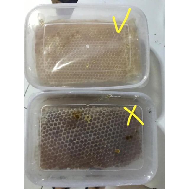 

Madu Sarang super lebah apis Mellifera