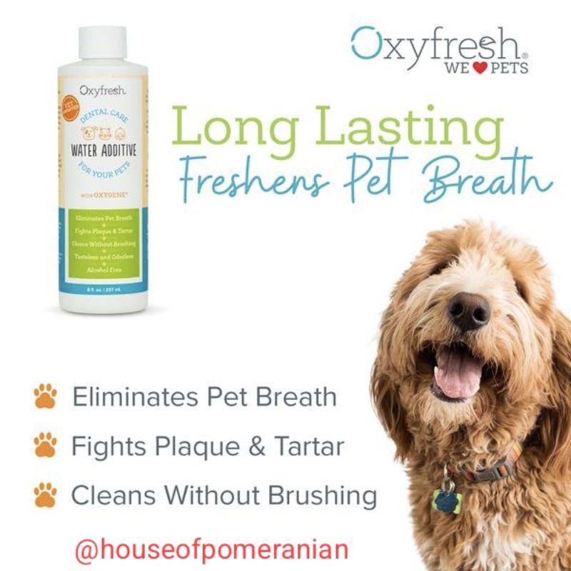 Oxyfresh water additive 473ml penghilang bau mulut hewan anjing kucing dental care