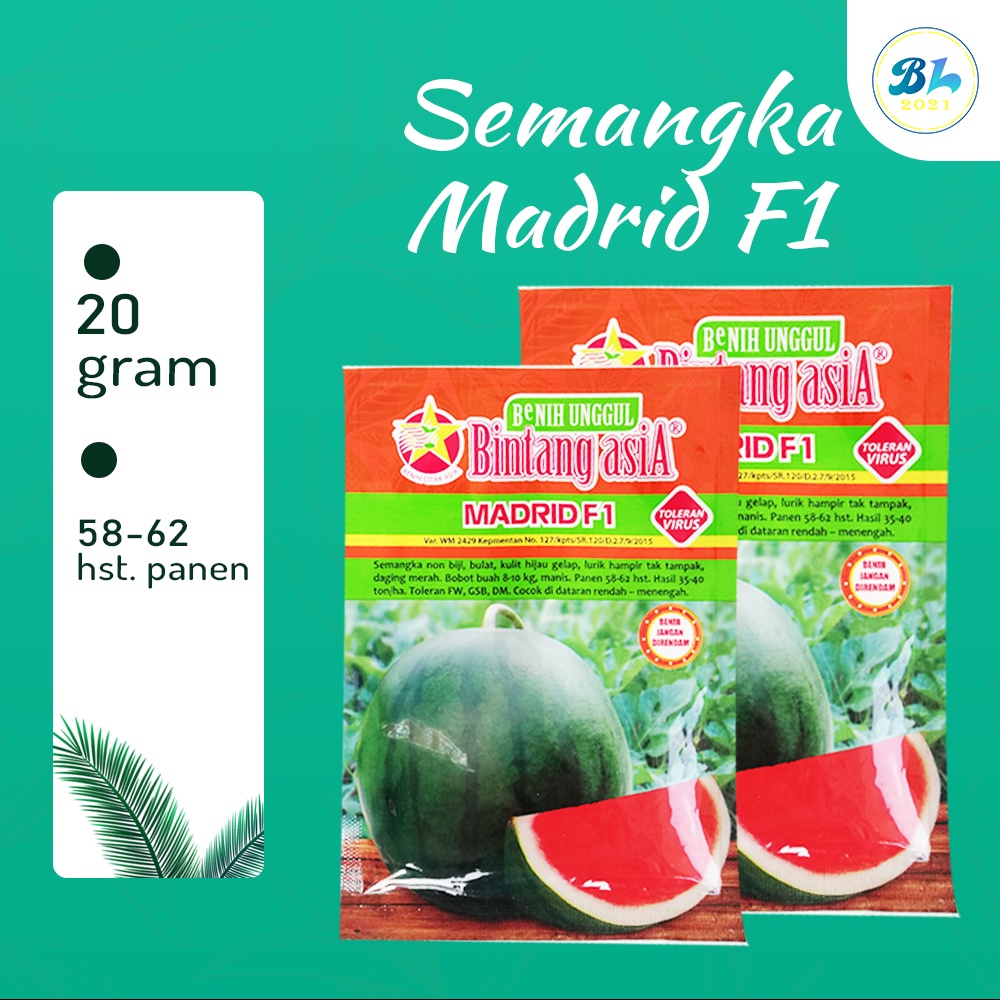 Benih Bibit Semangka Merah Non Biji Madrid F1 20 gram - Bintang Asia