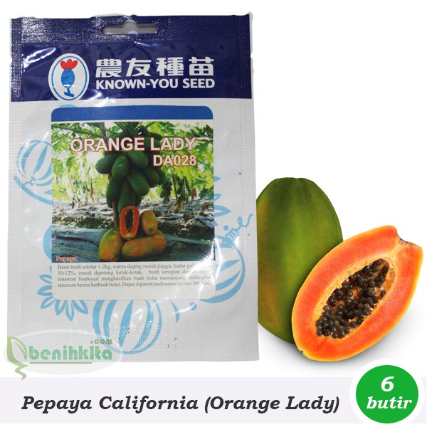 Benih/Bibit Pepaya California Orange Lady (Known-You Seed)