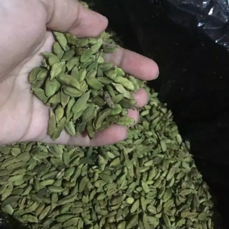 

Kapulaga India / Cardamon 25 Gr