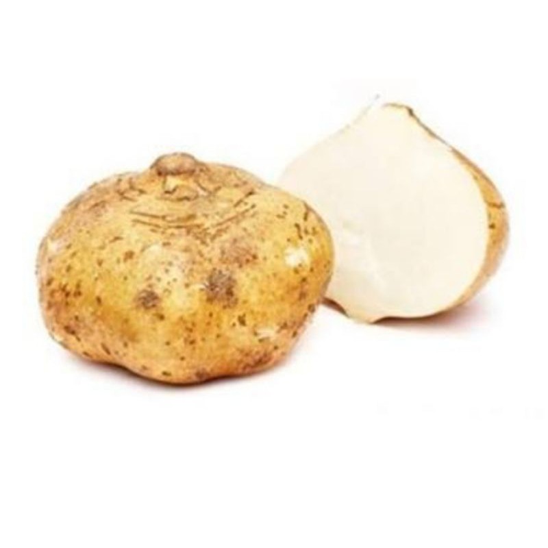 

Bengkoang / 1buah / sd 400gr
