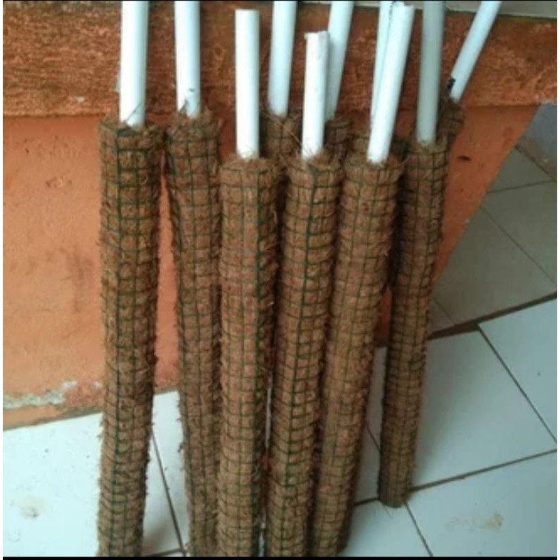 Turus Tiang Penyangga Tanaman Ukuran 60 Cm - Turus Penyangga Tanaman - Turus