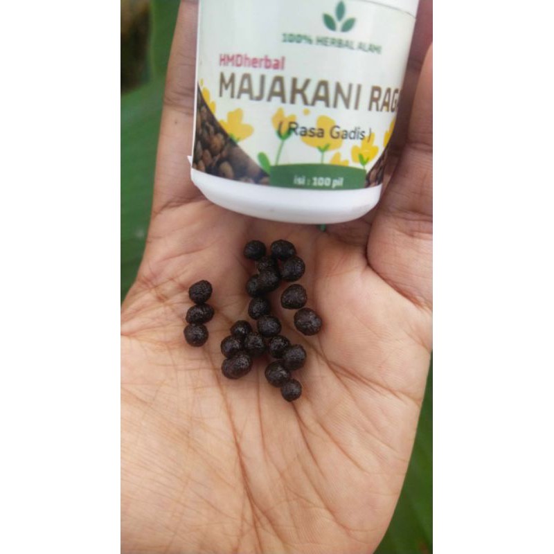 MAJAKANI MAJARAGA HERBAL KEWANITAAN MAJAKANI