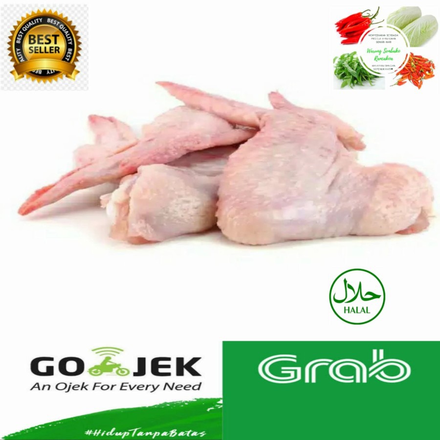 

Bahan masak Sayap Ayam Daging Potong Negri Segar Fresh Murah 500 Gram - 1/2 kg