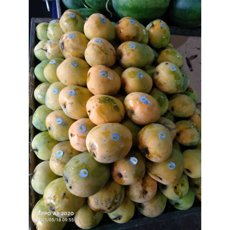 

PROMOOOOOO Mangga gedong 500gr|buah segar bandung|nuri fruits|buah mangga|mangga gedong|buah mangga bandung