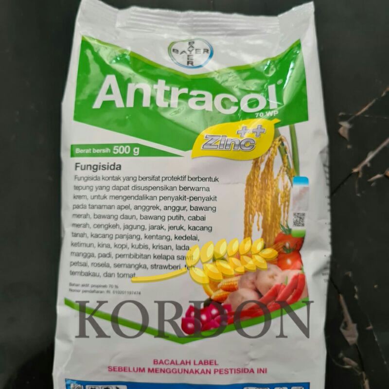 

Antracol 500 g